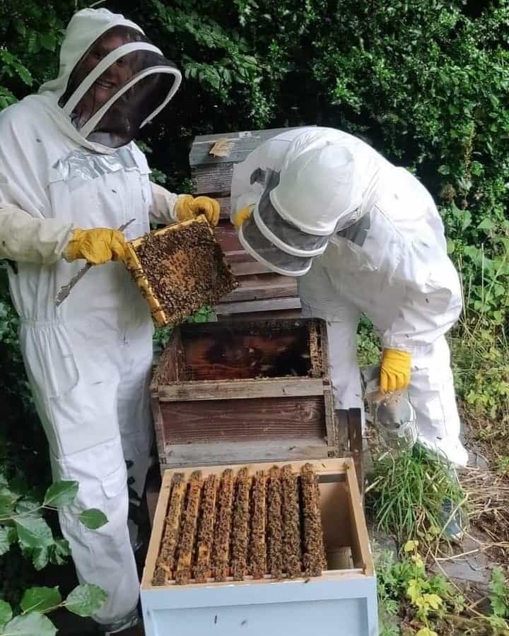 Beekeeping