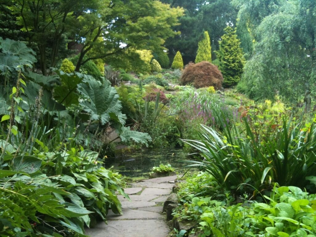 Fletcher Moss Botanical Garden, Didsbury
