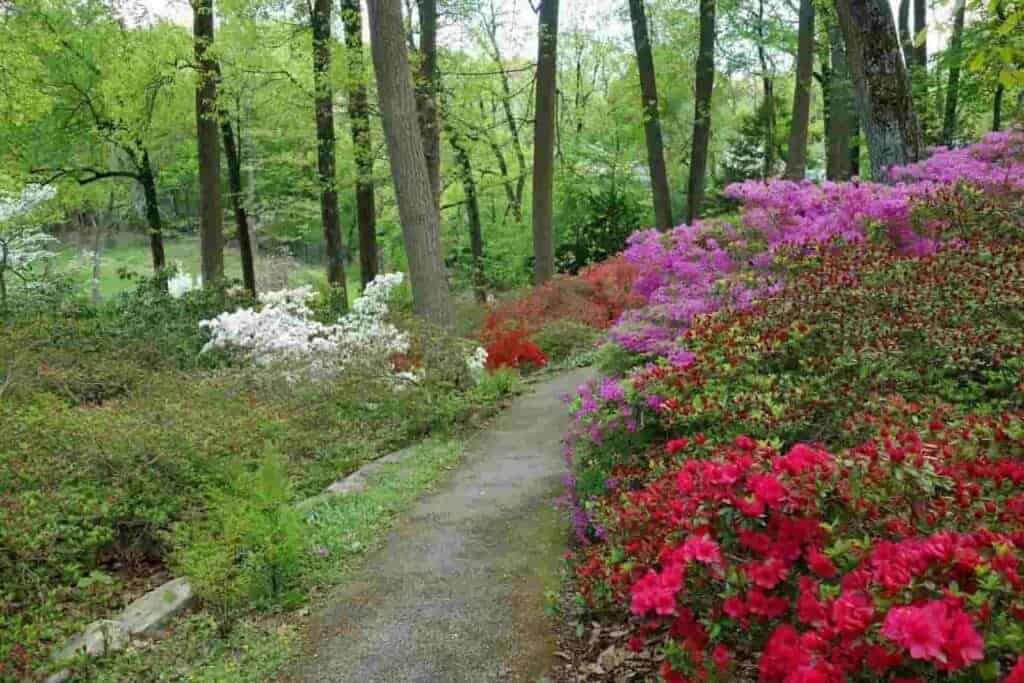 Arboretum