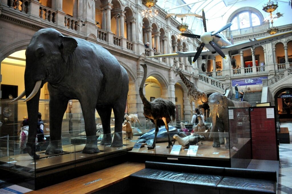 Explore the famous Kelvingrove Museum