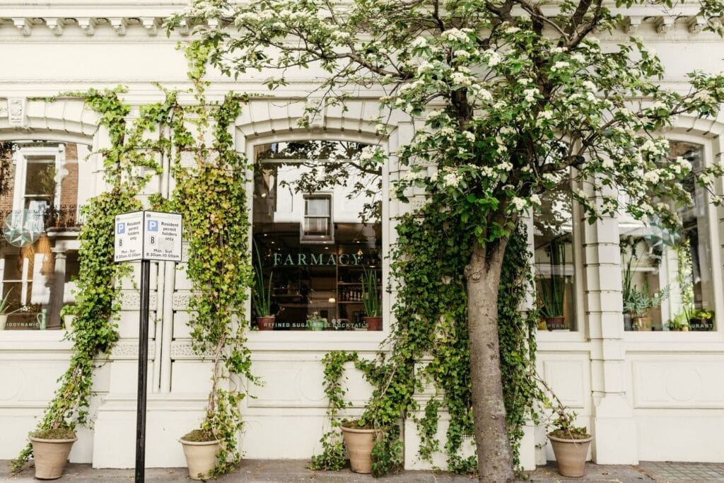 Farmacy