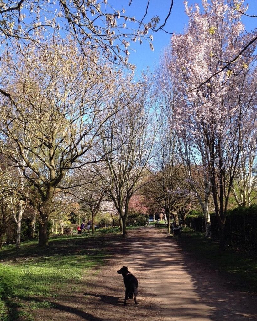 Fletcher Moss and Botanical Gardens
