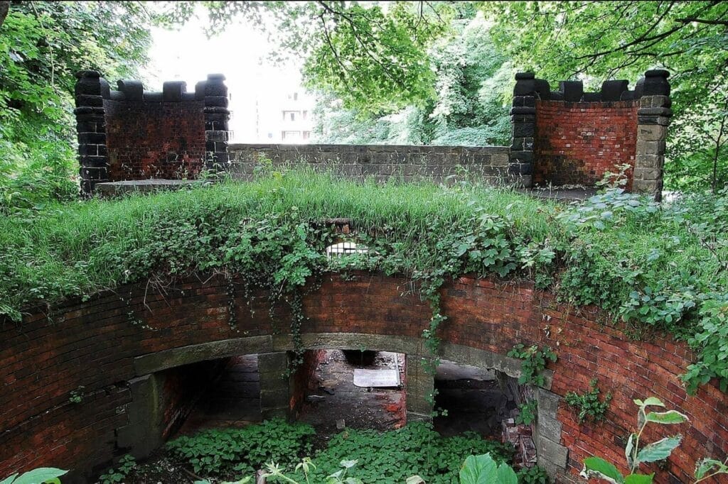 The Bear Pit
