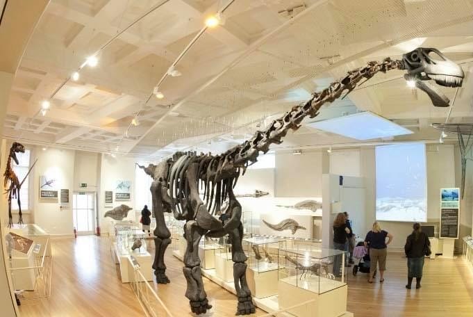 New Walk Museum and Art Gallery