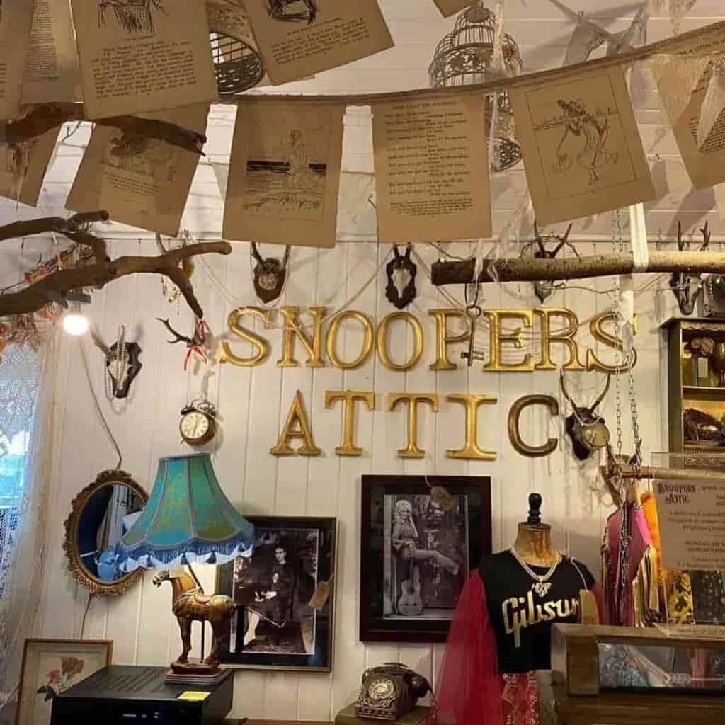 Snooper's Paradise