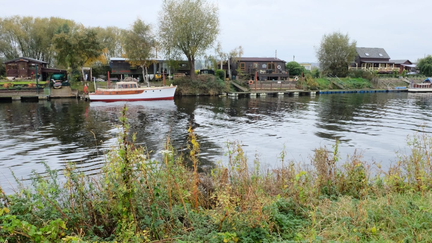 Attenborough Nature Reserve
