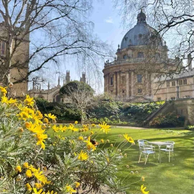 Does it matter what university you go to?