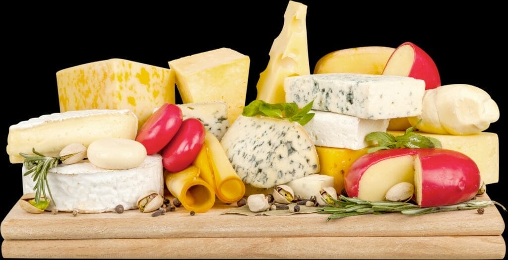 Cheese Society – Nottingham Trent University