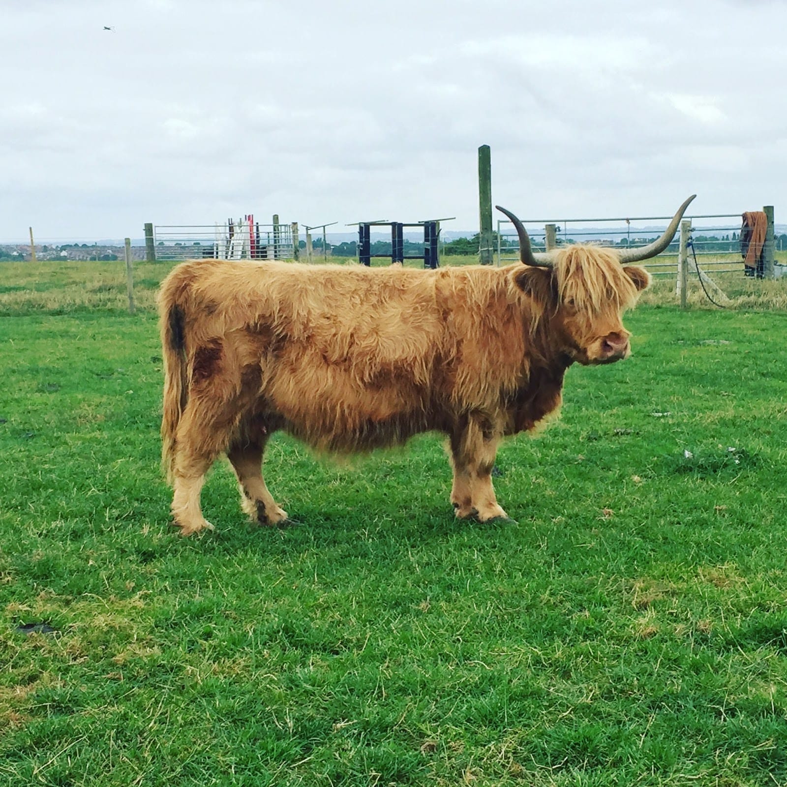 zoos and farms in leeds