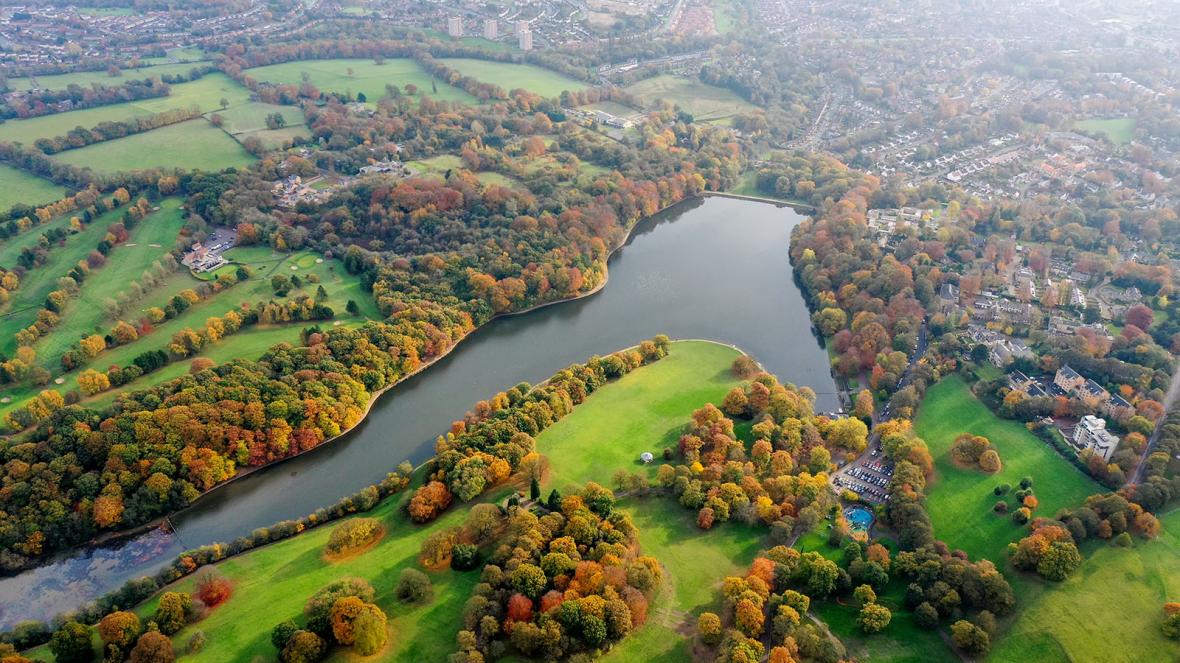 roundhay park leeds