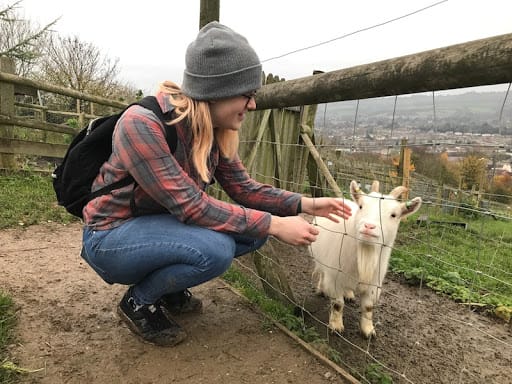 best things to do in Bath for students - Bath City Farm