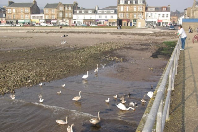 Helensburgh Beach