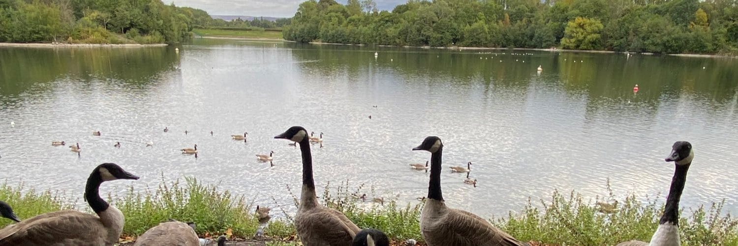 Debdale Park
