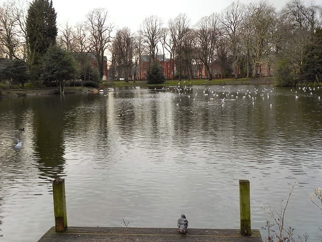 Alexandra Park