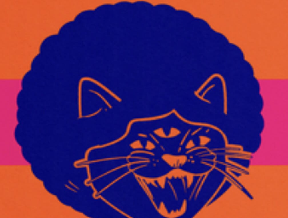 Disco Puss - Freshers events Hidden Manchester