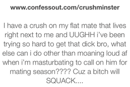 outrageous university of westminster confessions