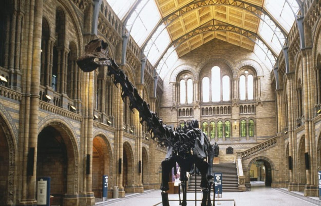 natural history museum