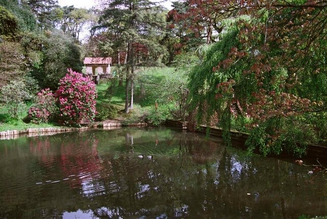 Clyne Gardens