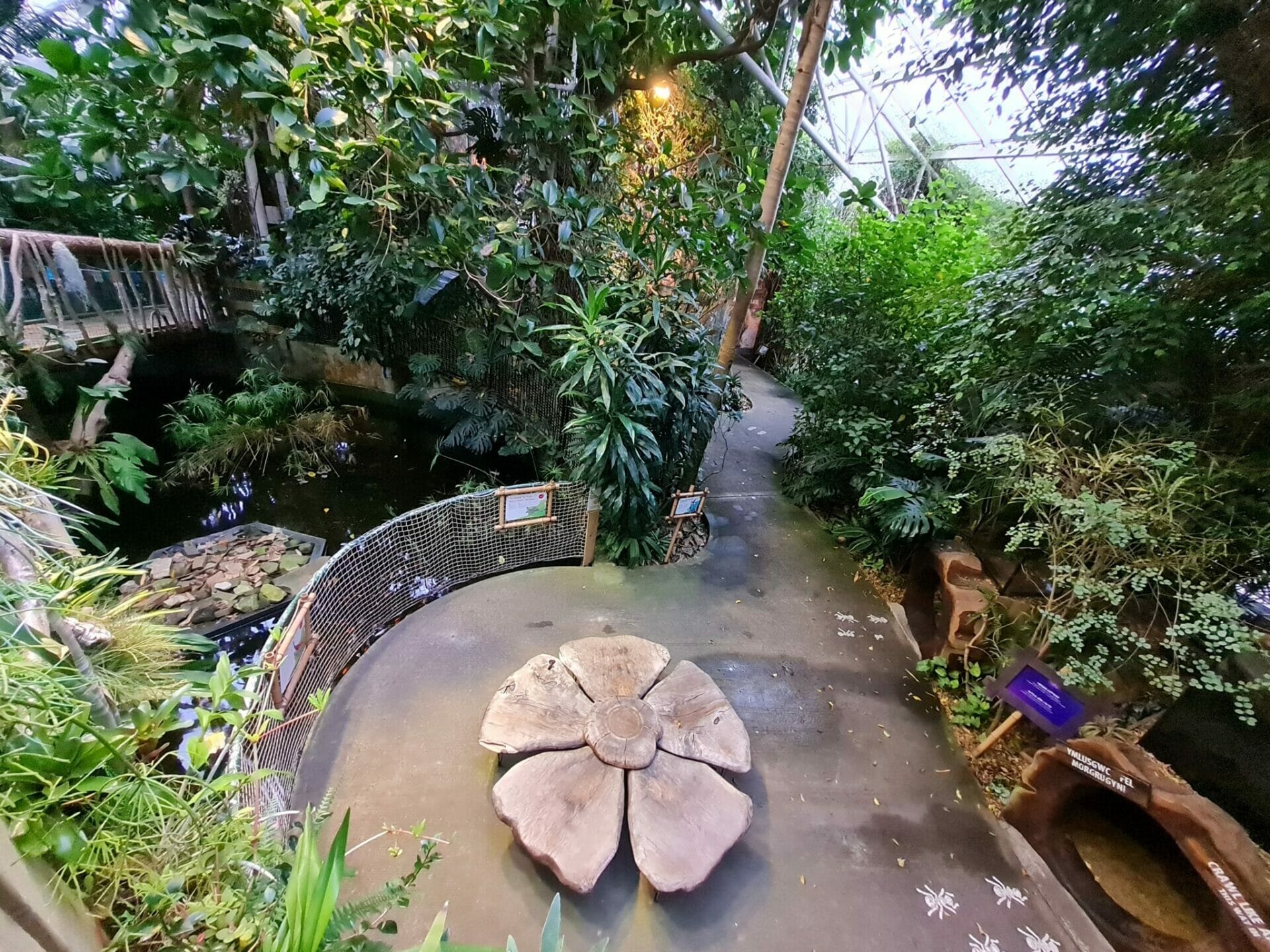10 unusual places to visit in Swansea