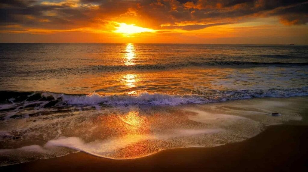 Watch the sunset
