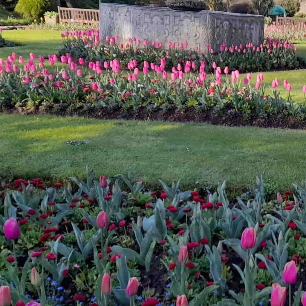 Swansea Botanical Gardens