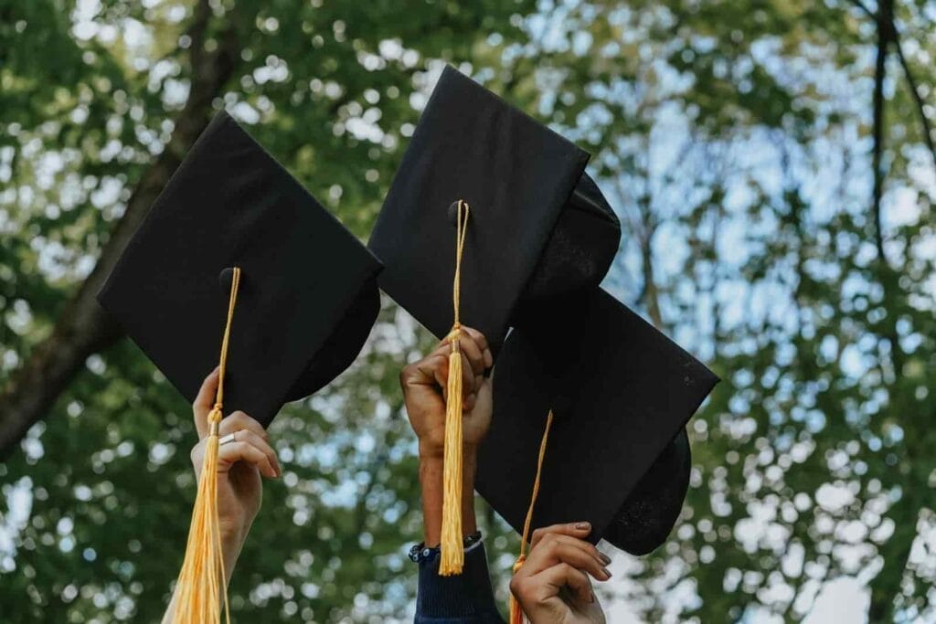 Degree apprenticeship vs university degree What is a university degree?