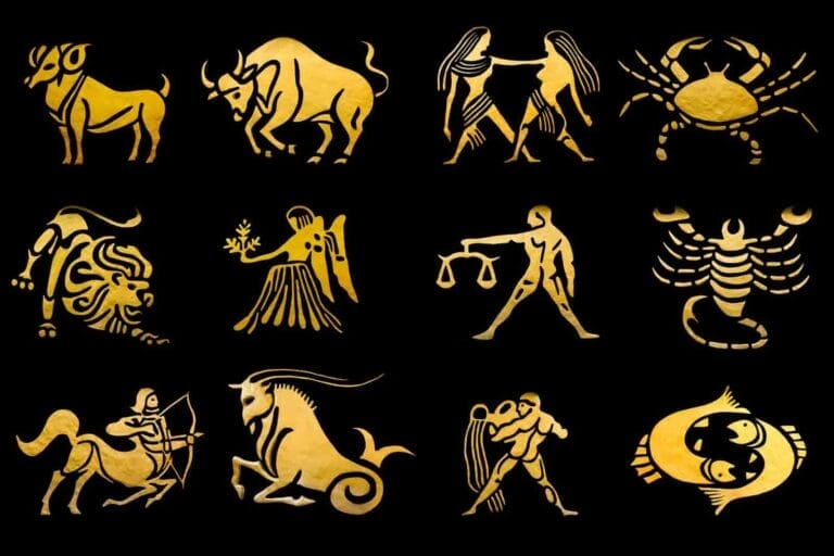 What to study based on your star sign?