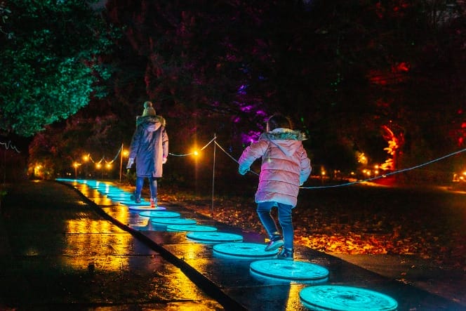 The best Christmas events in Swansea 2023