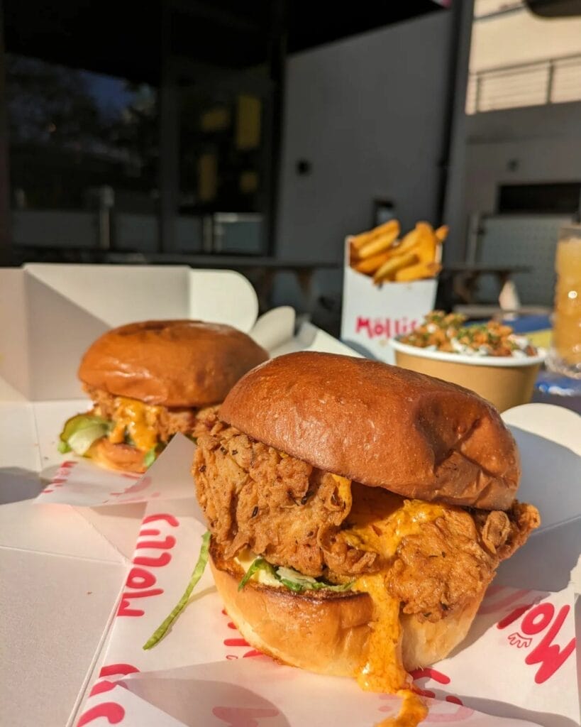 2 fried chicken burgers. a portion of fries and wings unfocused in the background.
