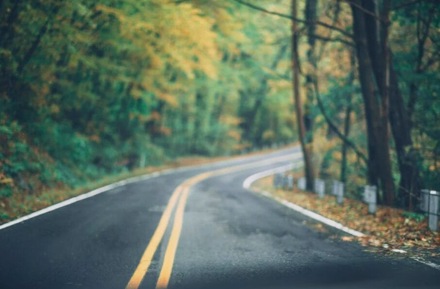 autumnal image of a bending road