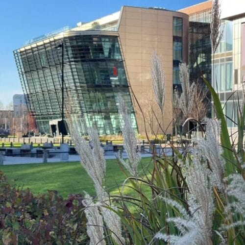 de montfort university