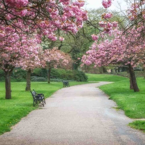 Best parks in Bath