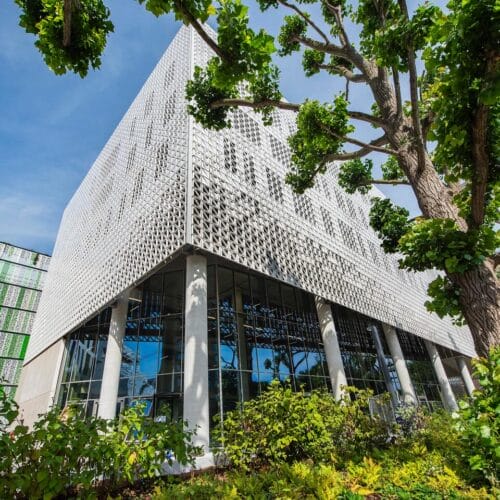 University of Brighton
